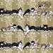 Sweet Dreams Mixed Cats Christmas Wrapping Paper