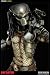Predator - 1/5 Scale Statue: Predator_s-3