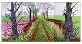 picture of David Hockney: A Bigger Picture
