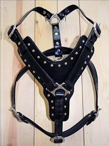 Hilason Black Genuine Leather Dog Harness With Leash