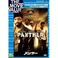 【クリックで詳細表示】パンサー [DVD]