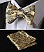 SetSense Men's Paisley Printing Self Bow Tie Set