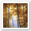 Blue Wood Canopy by Robert Striffolino 24"x24" Art Print Poster