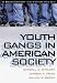 Search : Youth Gangs in American Society