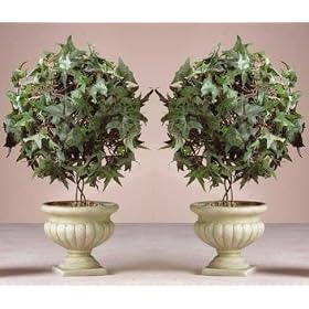 2 New Ivy Topiary Plants Flowers Decorations in Pot