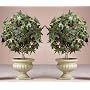 2 New Ivy Topiary Plants Flowers Decorations in Pot