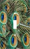 Peacock Feather Print Decorative Switchplate Cover