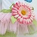 PanDaDa Dog Daisy Gauze Tutu Dress Skirt Pet Dog Cat Princess Clothes Bowknot Dress L