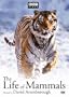 The Life of Mammals
