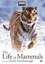 The Life of Mammals, Vol. 1-4