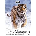Buy The Life of Mammals, Vol. 1-4 now!