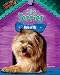 Cairn Terrier: Hero of Oz (Little Dogs Rock! II)