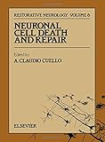 Neuronal cell death and repair