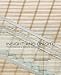 Insight and On Site: The Architecture of Diamond and Schmitt