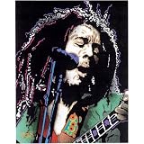 (24x36) Bob Marley (Electric) Music Poster Print