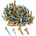 100 Clock Wood Screws Clockmaker Supplies