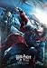 HARRY POTTER AND THE GOBLET OF FIRE MOVIE POSTER
