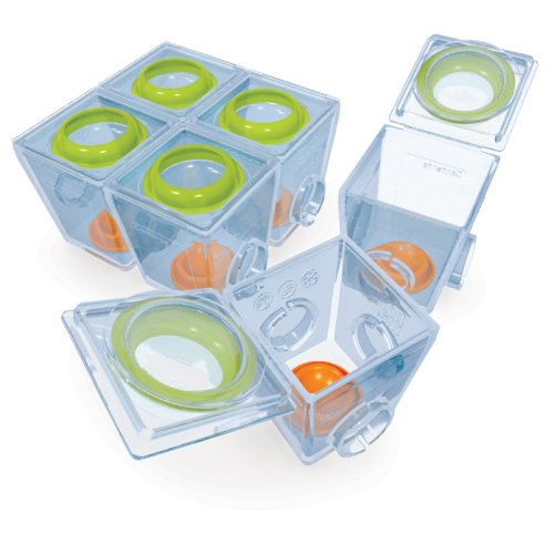 Childrens Toyshop  Kitchen & Housewares : Brother Max 6 Small Food Portioners