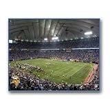 NFL Minnesota Vikings Stadium 22x28 Canvas Art