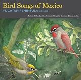 Bird Songs of Mexico: Yucatan Peninsula Volume 1
