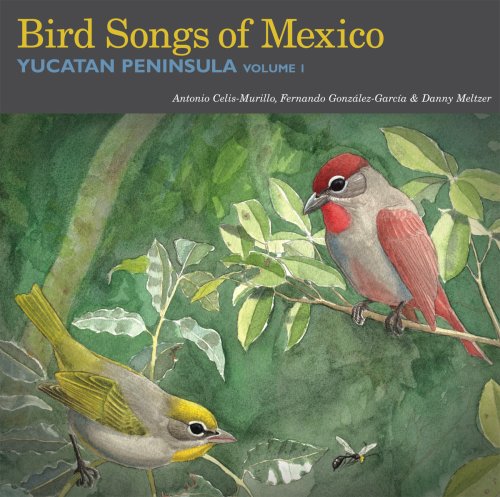 CD-Charts  Third Party New : Bird Songs of Mexico: Yucatan Peninsula Volume 1