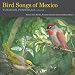 Bird Songs of Mexico: Yucatan Peninsula Volume 1