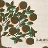 Image of album by Castanets