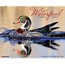 Waterfowl of North America 2015 Wall Calendar