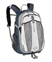 The North Face Recon Backpack