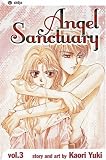 Angel Sanctuary Vol. 20 (Angel Sanctuary)