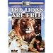 The Lions Are Free [DVD]