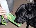 Kitchen & Housewares : Dog Water Bottle - Green Handi Drink 17 oz. - The Portable, Spill-Proof Way to Keep Pets Hydrated