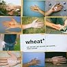 Image of album by Wheat