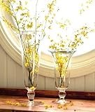 Marquis by Waterford Vintage Garden 12-inch Footed Vase