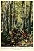 1923 Print Rocky Mountain National Park Wild Flowers White Birch Trees Pathway - Original Color Print