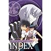 A Certain Magical Index Vol.4