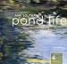 Classical Music : Pond Life