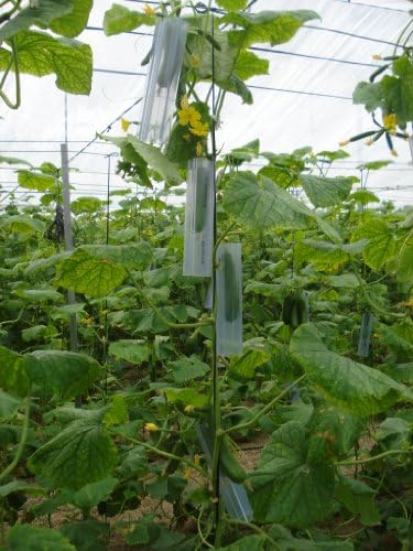 Set of 4 Heart Shaped Molds for Growing Vegetables and Fruits, Veggie Molds