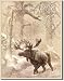 PETERS - Moose in Snowstorm Metal Tin Sign 12.5"W x 16"H