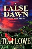 A False Dawn: Mystery/Thriller