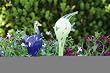 2 Assorted: Animal Water Bulbs