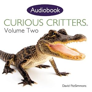 Curious Critters: Volume 2