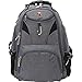 SwissGear Travel Gear 5977 Laptop Backpack- EXCLUSIVE