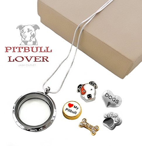 PIT BULL Living Memory Glass Locket Set w/ Floating Pitbull Dog Charms & Sterling Plated Necklace