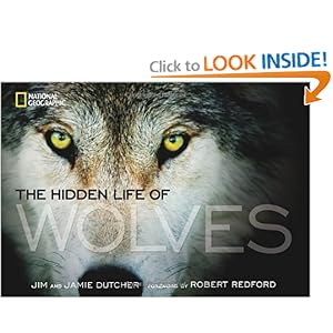 The Hidden Life of Wolves Jim Dutcher, Jamie Dutcher and Robert Redford