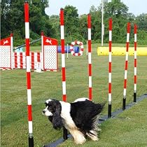Dog Agility Weave Poles - 6 Pole Set