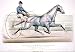 The grey mare Lucy, the pacing queen of the famous quartette of 1879 (Reprint measured in inches 24 x 17)