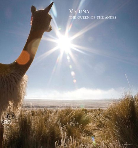 Vicuna: The Queen of the Andes by Piazza, Arianna (2013) Hardcover