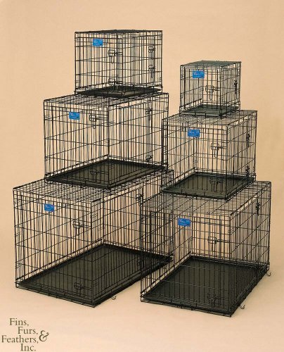 Mid-West Metal Dog Crate Double Door 42x28x31