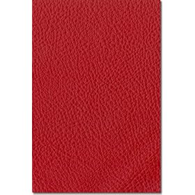 Bean Bag Red Leather